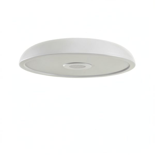 ASALL LED Ceiling Light Bluetooth Speaker Dimmable RGB-1