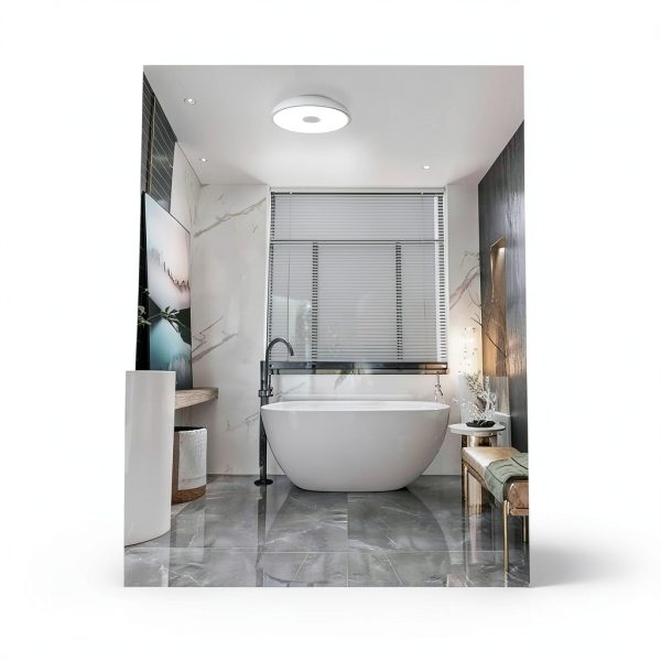 ASALL LED Ceiling Light Bluetooth Speaker Dimmable RGB-6